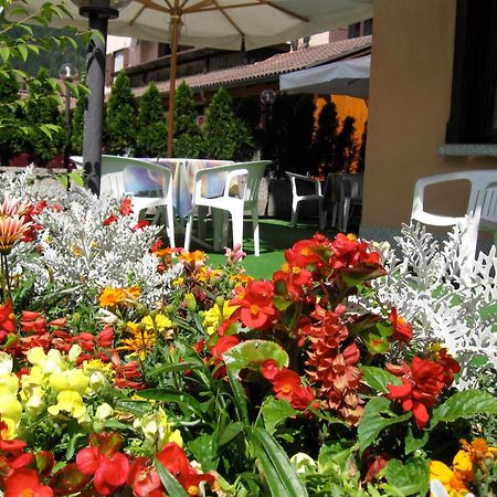 Hotel Binelli Pinzolo Zewnętrze zdjęcie