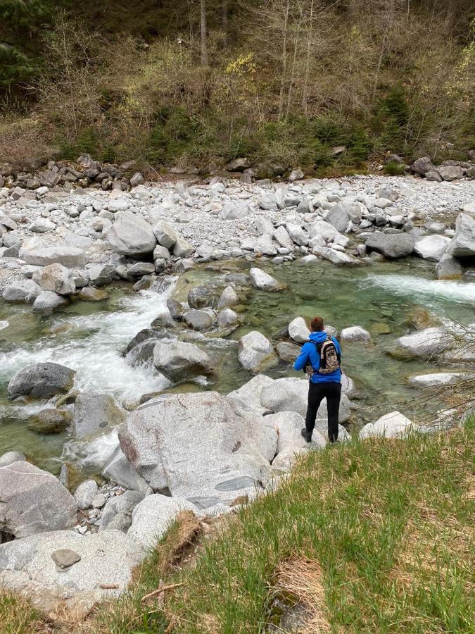 Hotel Binelli Pinzolo Zewnętrze zdjęcie