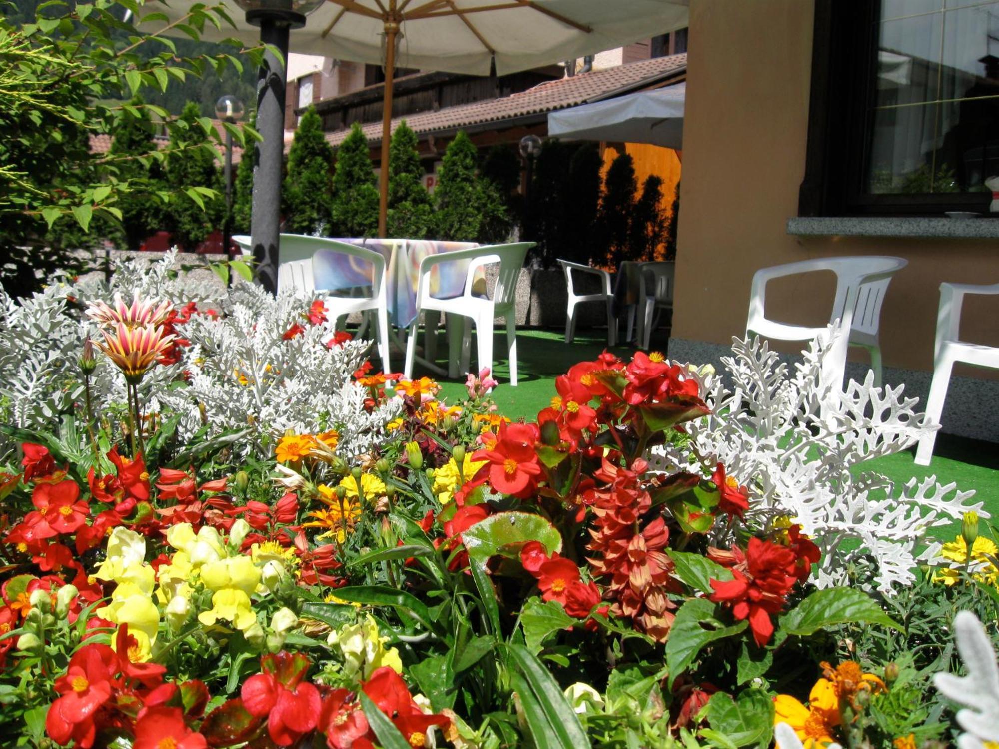 Hotel Binelli Pinzolo Zewnętrze zdjęcie