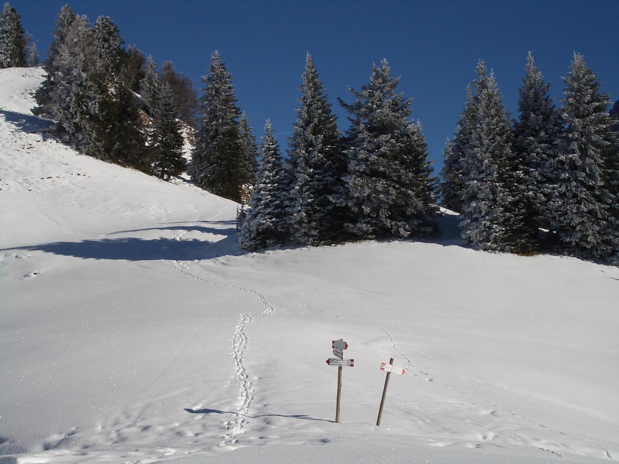 Hotel Binelli Pinzolo Zewnętrze zdjęcie
