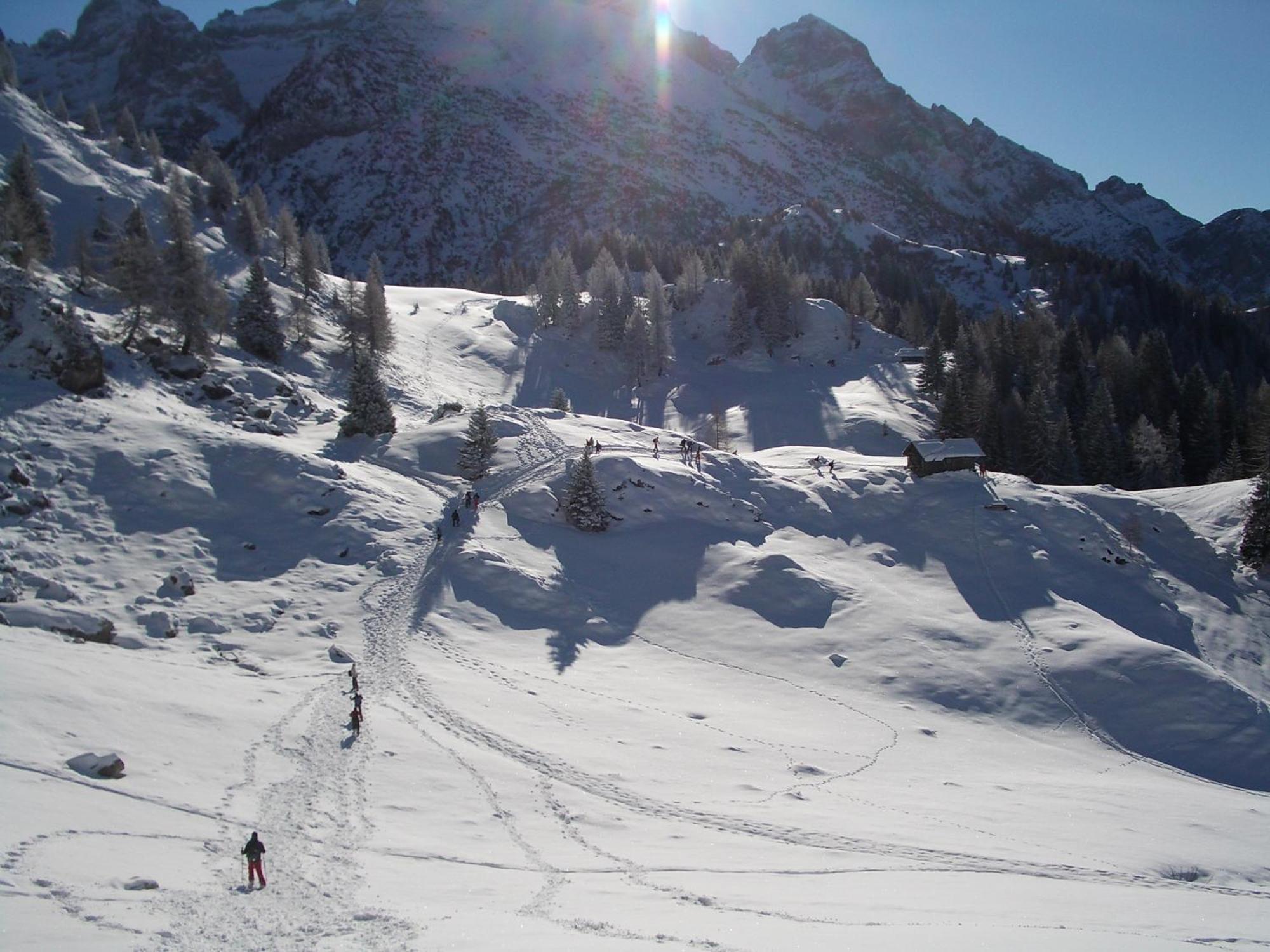 Hotel Binelli Pinzolo Zewnętrze zdjęcie