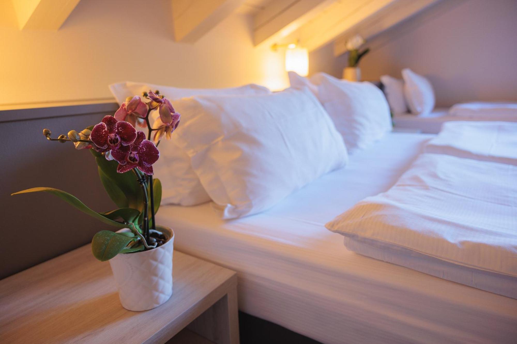 Hotel Binelli Pinzolo Zewnętrze zdjęcie