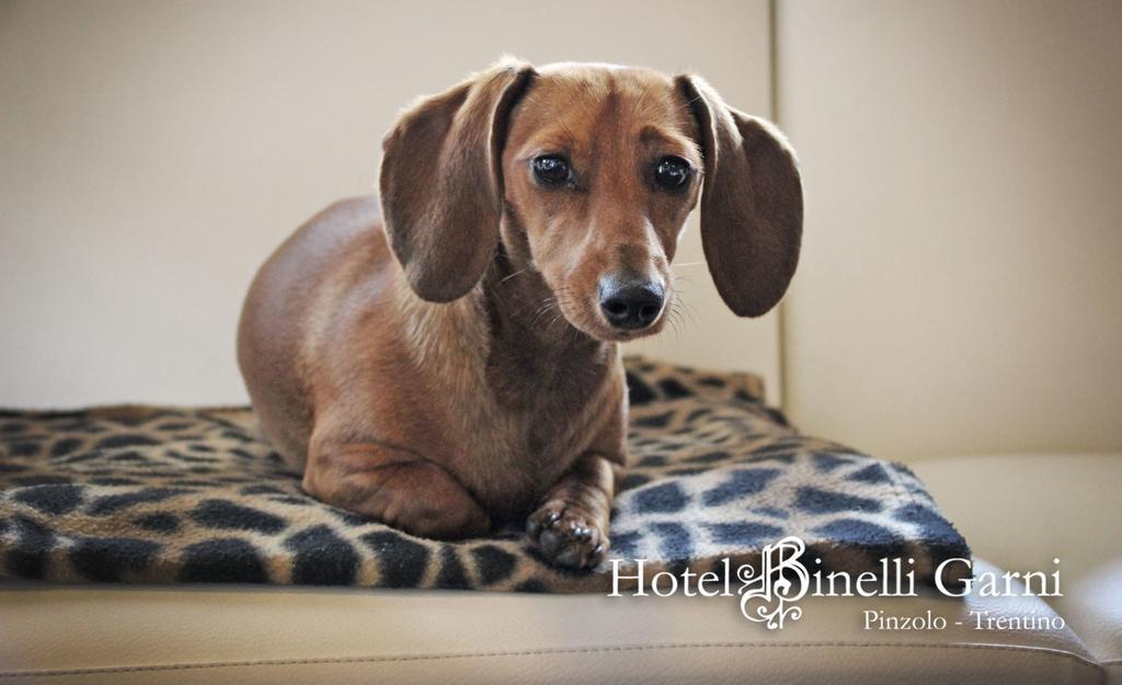 Hotel Binelli Pinzolo Zewnętrze zdjęcie